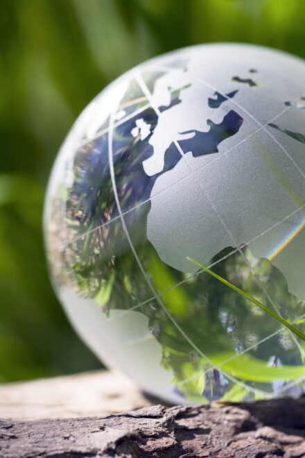 cep schlägt Klimaschutzverträge und grüne Leitmärkte vor